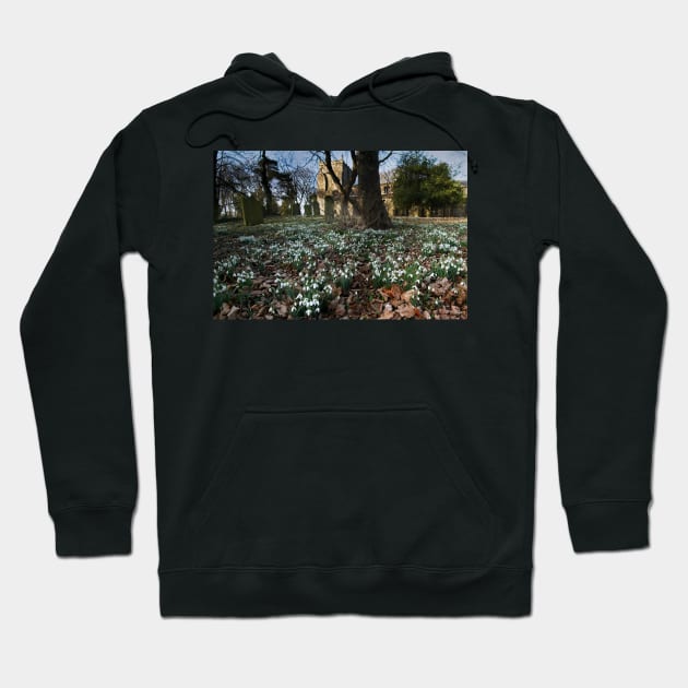 Churchyard Snowdrops Hoodie by MartynUK